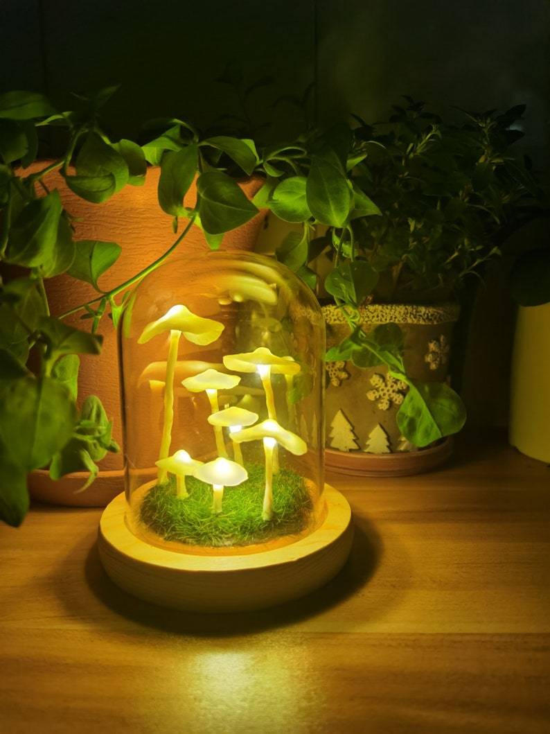 DIY Paddenstoel Lamp – Glas en Hout, Creatieve Verlichting voor Woonkamer of Slaapkamer