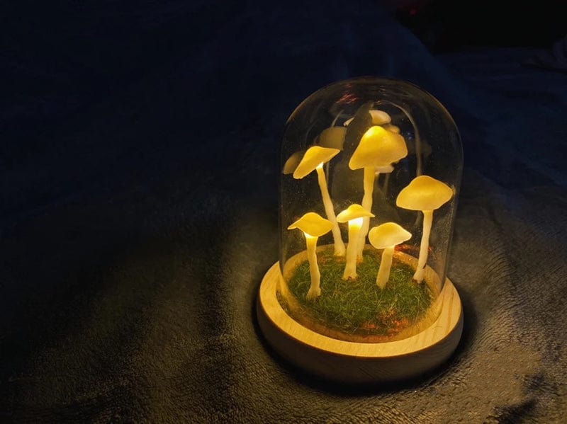 DIY Paddenstoel Lamp – Glas en Hout, Creatieve Verlichting voor Woonkamer of Slaapkamer